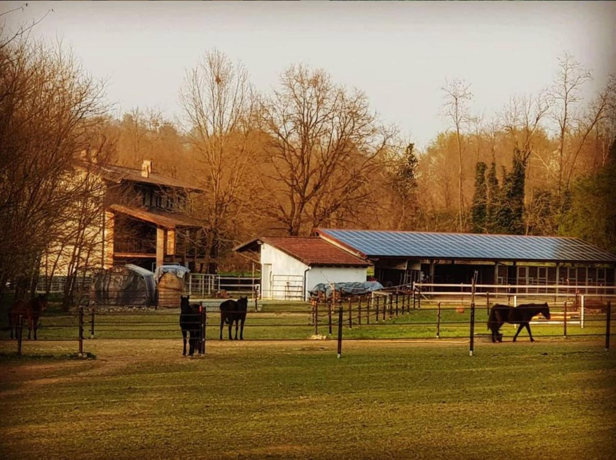 Cameloth B&B Settimo Rottaro Zewnętrze zdjęcie