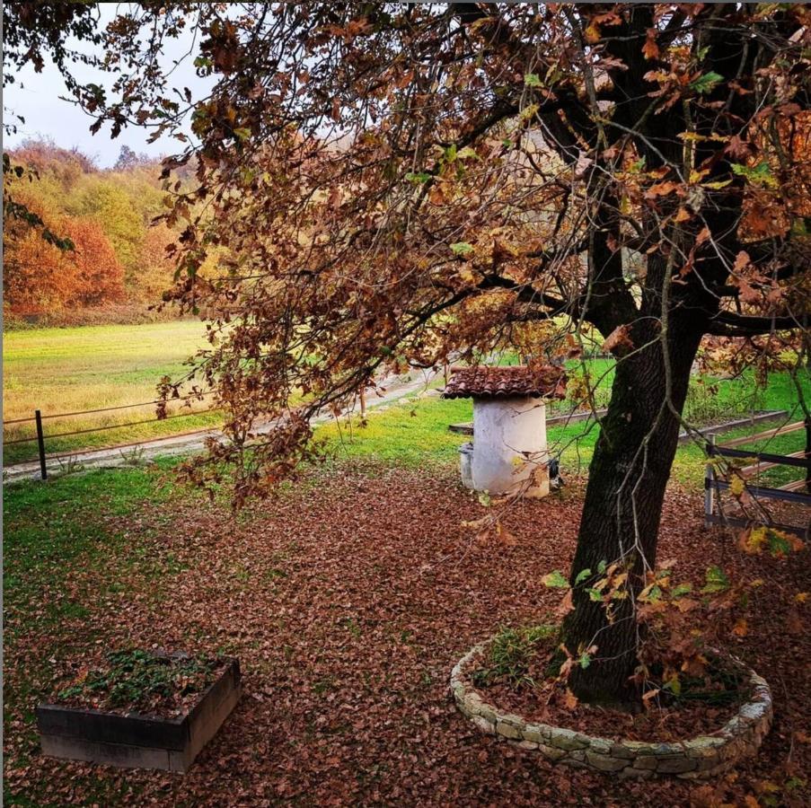 Cameloth B&B Settimo Rottaro Zewnętrze zdjęcie